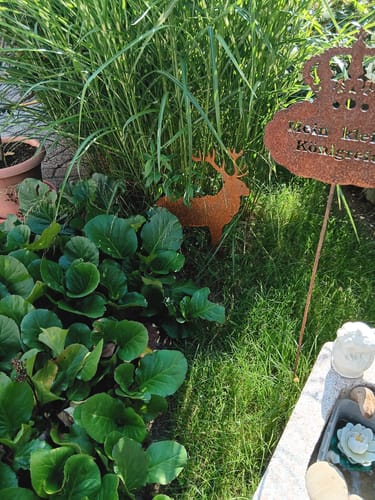 Customer photo review of Gartenstecker Rothirsch