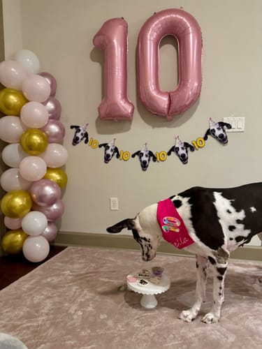 Customer photo review of Personalized Dog Party Pack