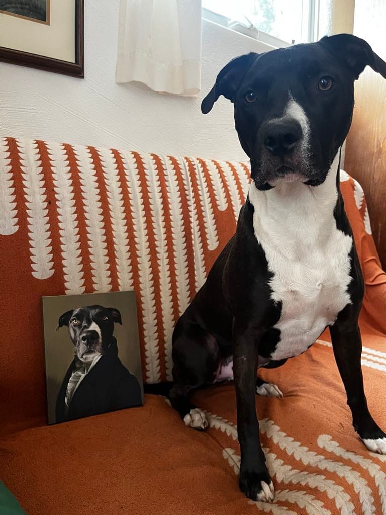 Customer photo review of Le Député