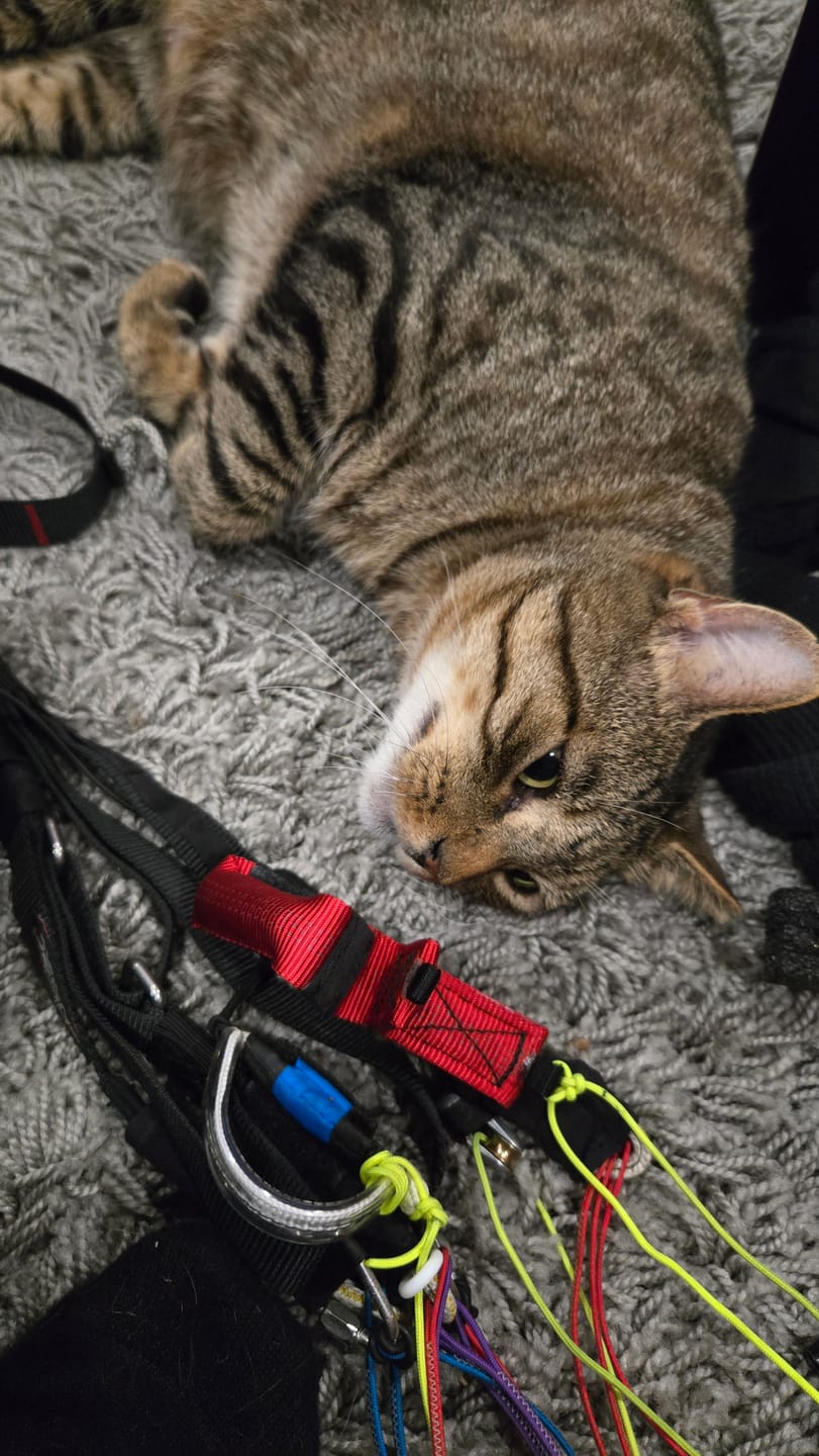 Customer photo review of Game-Changer Toggles