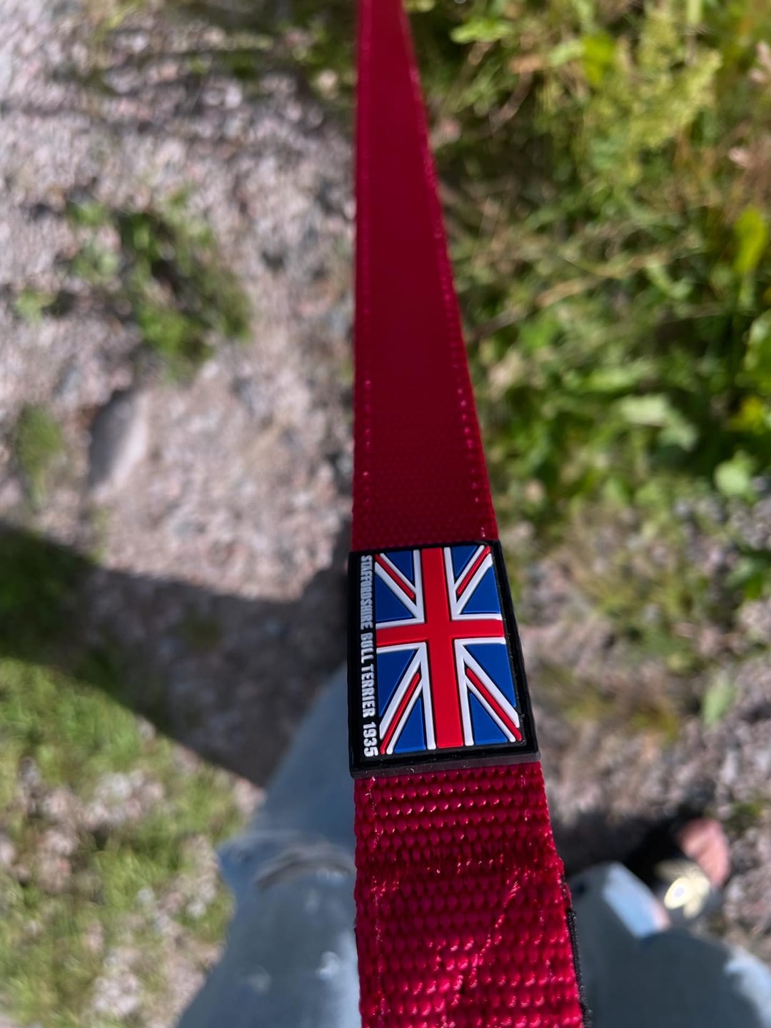 Customer photo review of Staffordshire Bull Terrier 1935® Nylon Leash - Burgundy - Normal