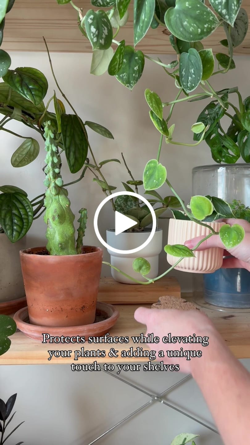 Customer video review of Kostr™ - Monstera Leaf-shaped  cork plant pot coaster