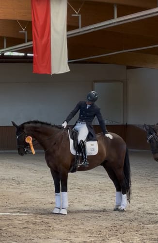 Customer photo review of Strotonin Horse Support