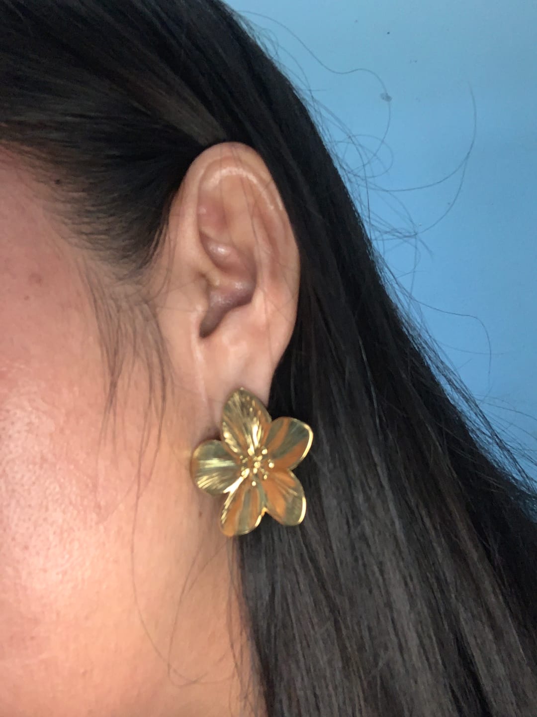 Customer photo review of Aretes Adhara