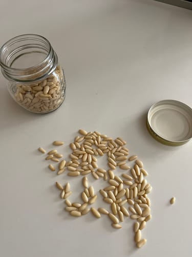 Customer photo review of Pinoli della Costa Pisana - 500g