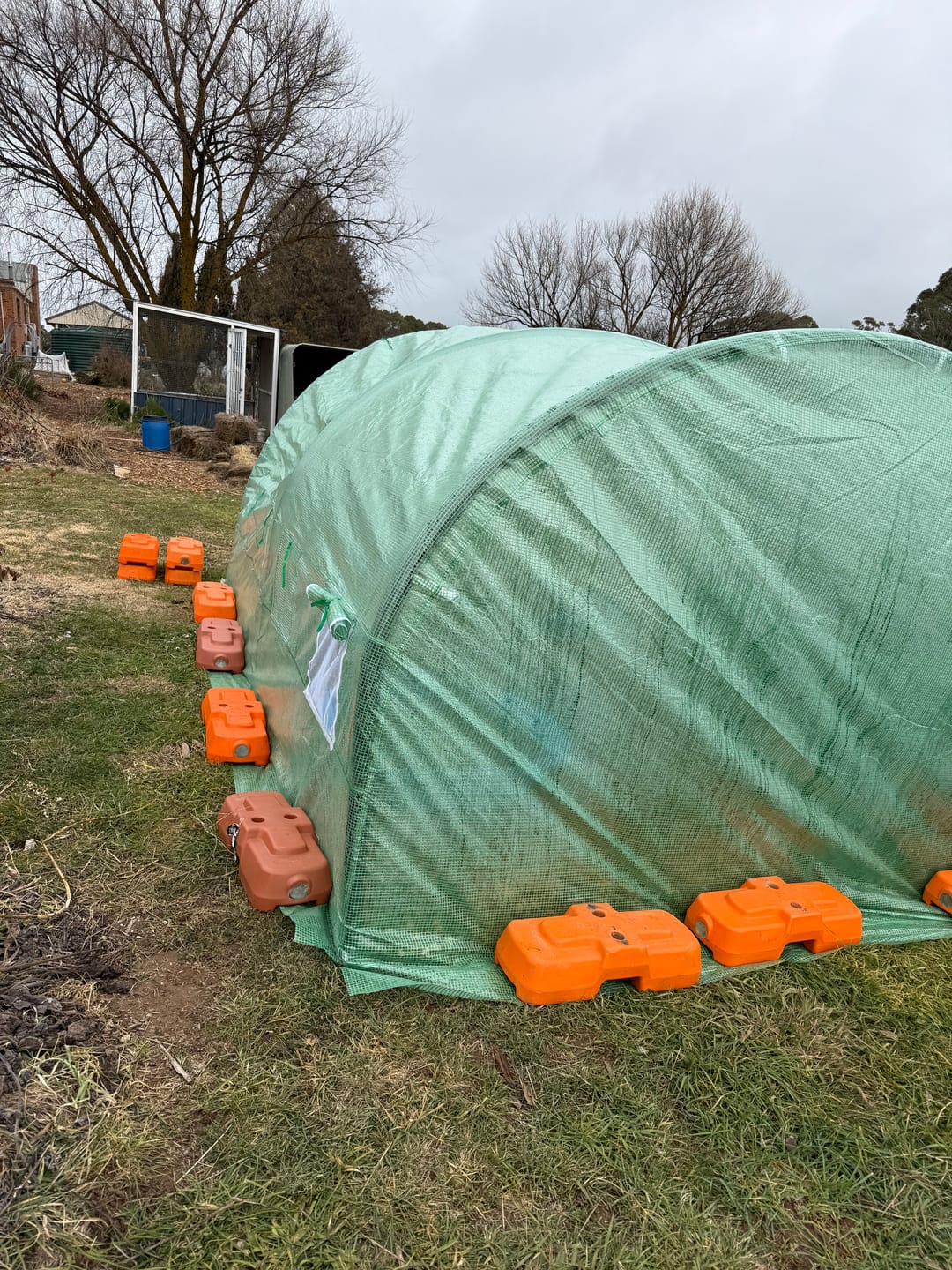 Customer photo review of Home Ready Apex 400cm Tunnel Greenhouse Shed PE Cover