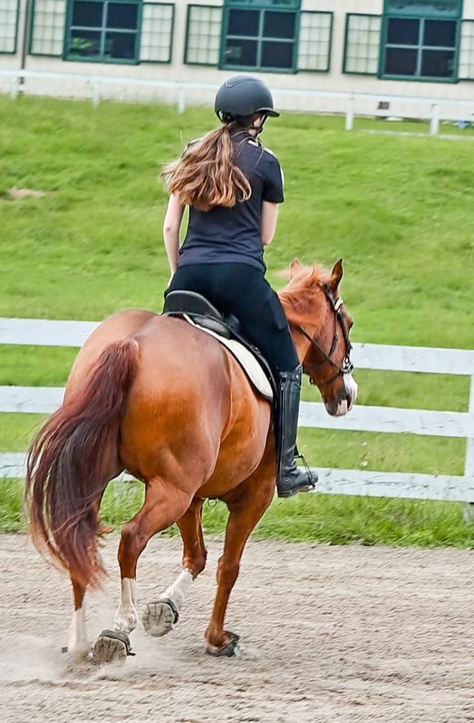 Customer photo review of Renegade® Viper Glow™ Hoof Boots - Caribbean Dream