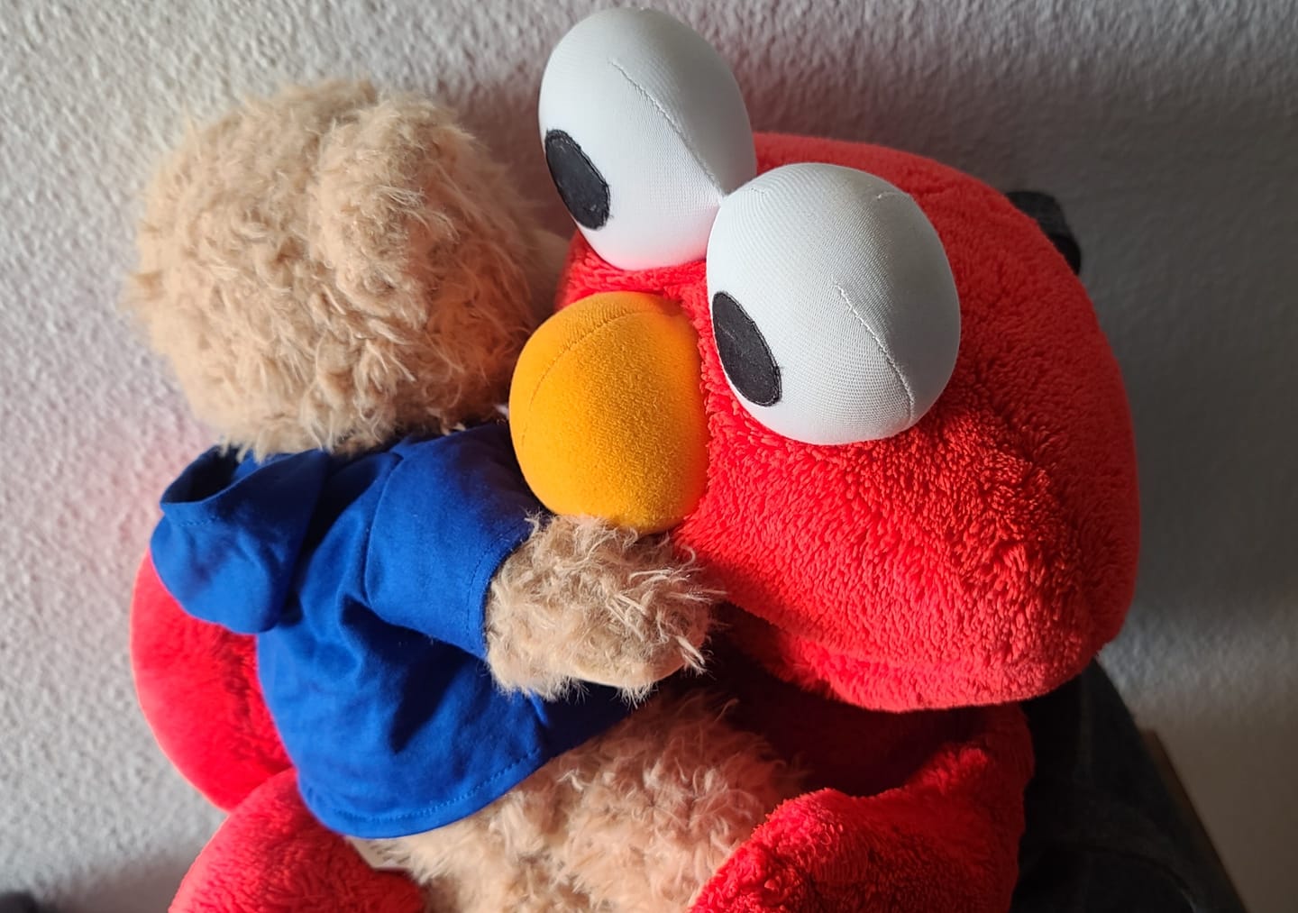 Customer photo review of Eddy The Teddy Bear