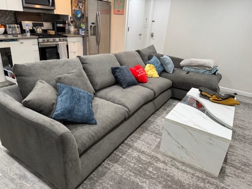 Customer photo review of Feathers Sectional