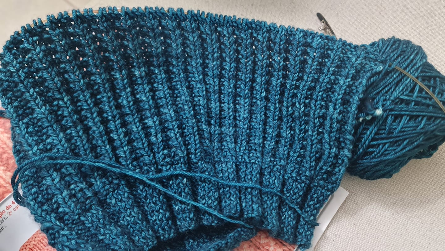 Customer photo review of Ríos  (100% Lana Merino)