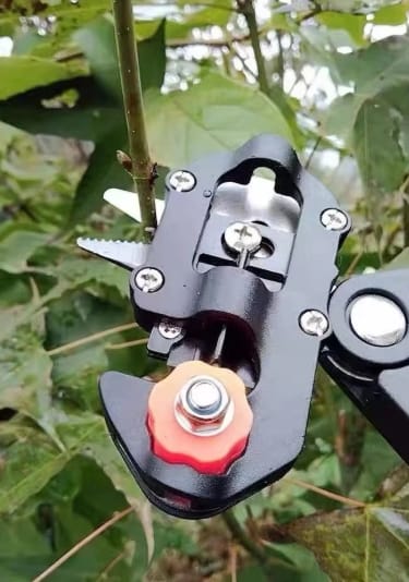 Customer photo review of GardenMate™ - Professional Grafting Tool