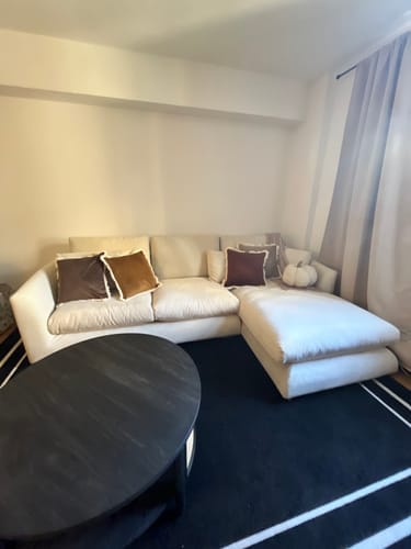 Customer photo review of Feathers Sectional