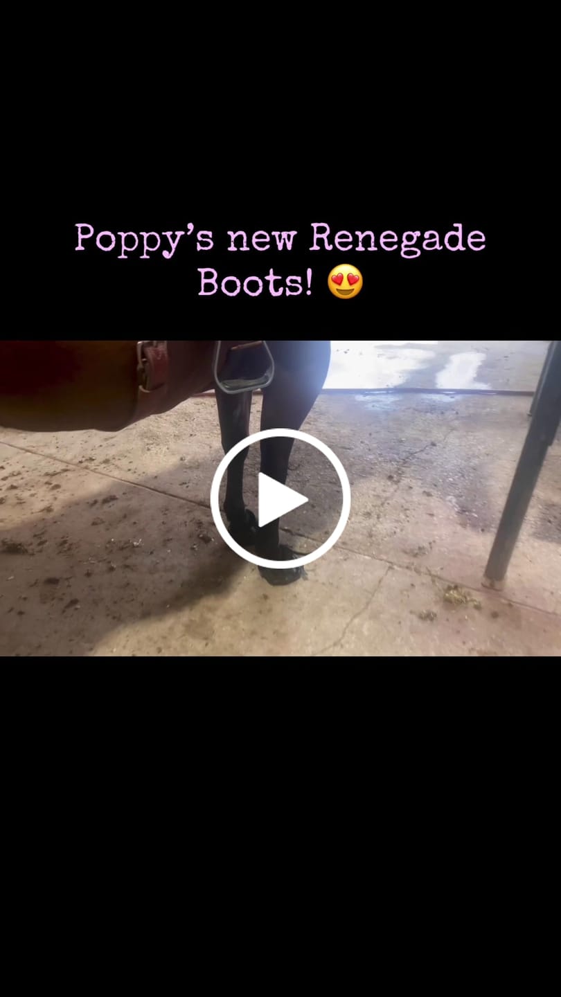 Customer video review of Renegade® Viper Shield™ Hoof Boot Seconds - Black Knight