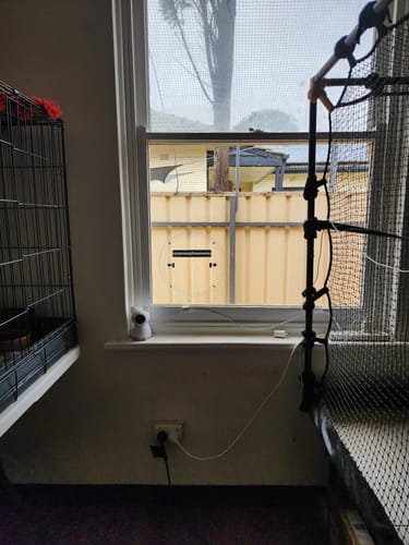 Customer photo review of Invisi Flap Pet Door For Glass