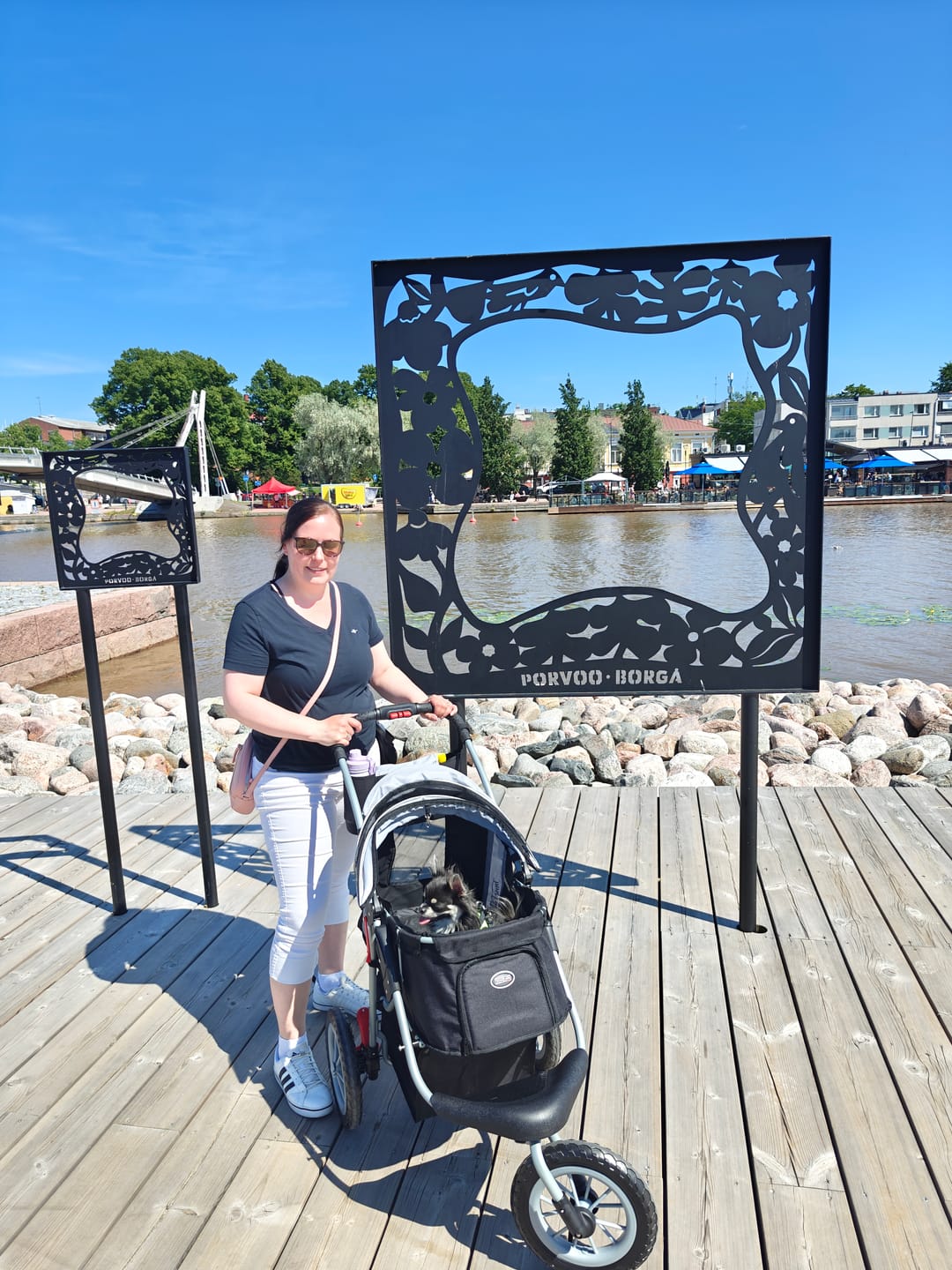 Customer photo review of Comfort EFA ECO lemmikkirattaat