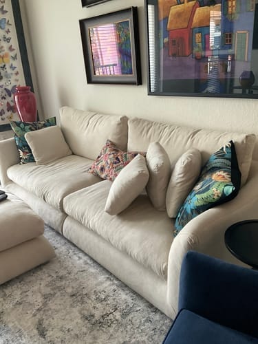 Customer photo review of Feathers Sofa + Ottoman