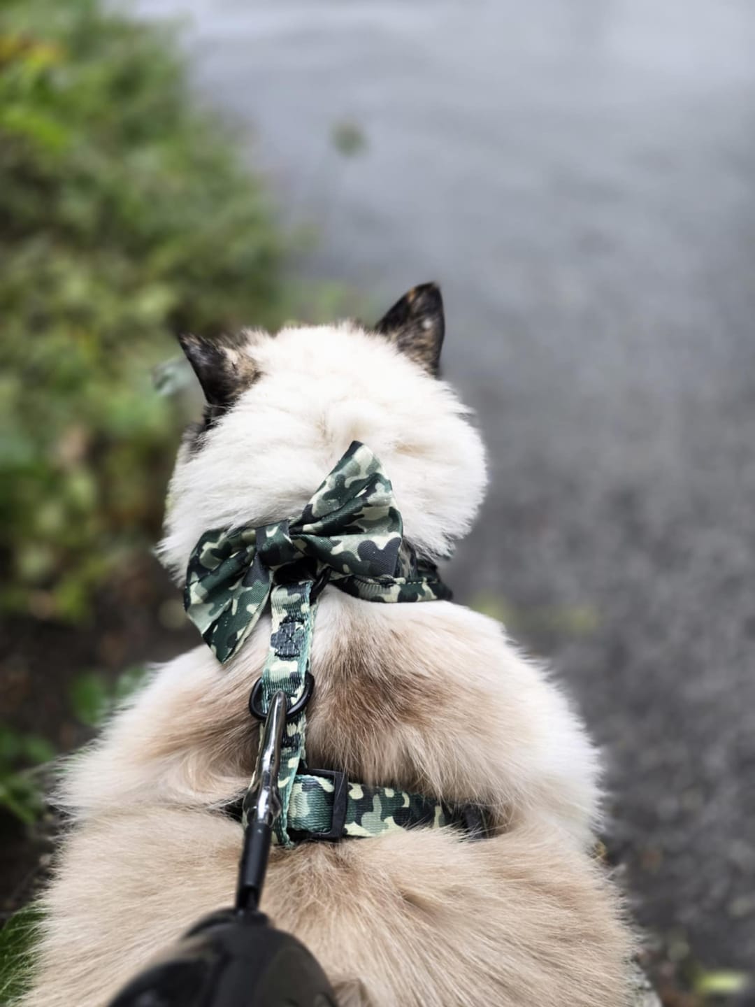 Customer photo review of Sele - Green Camo