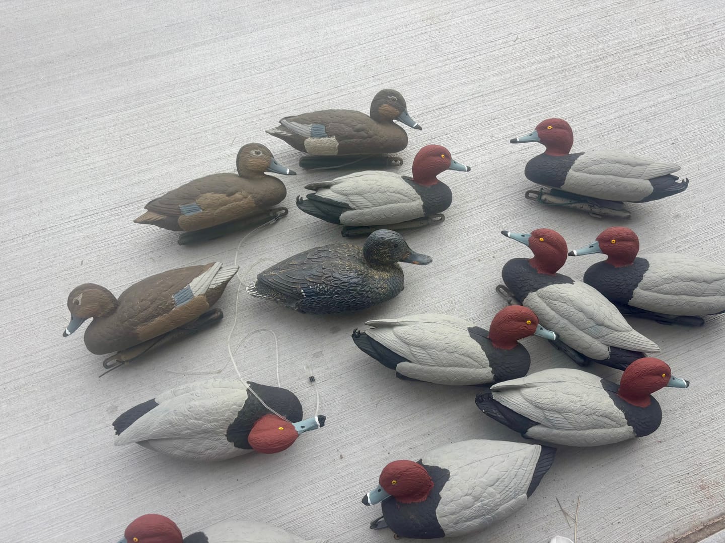 Customer photo review of Decoy Paint Kit - Large