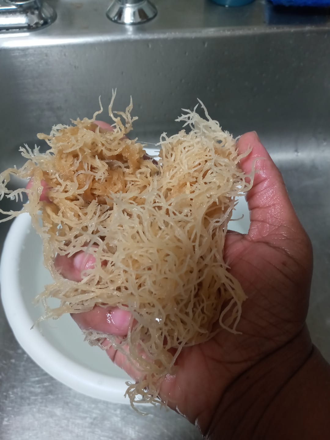 Customer photo review of Irish Sea moss