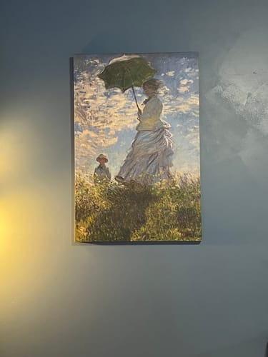 Customer photo review of Woman with a Parasol | Claude Monet | 1875