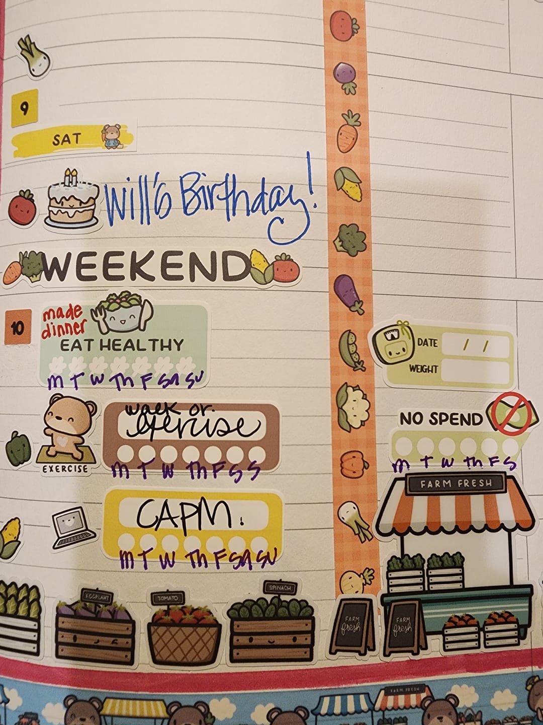 Customer photo review of Weekly Habit Tracker - Cozy Cat Theme Palette