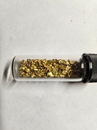 Customer photo review of *TROGO* Flawless '$5,000 GOLD NUGGET DISCOVERY' - Gold Panning Paydirt
