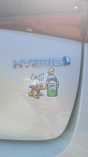 Customer photo review of ¡Cállate Tú! - Coquí (PREVENTA)