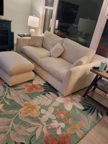 Customer photo review of Feathers Sofa + Ottoman