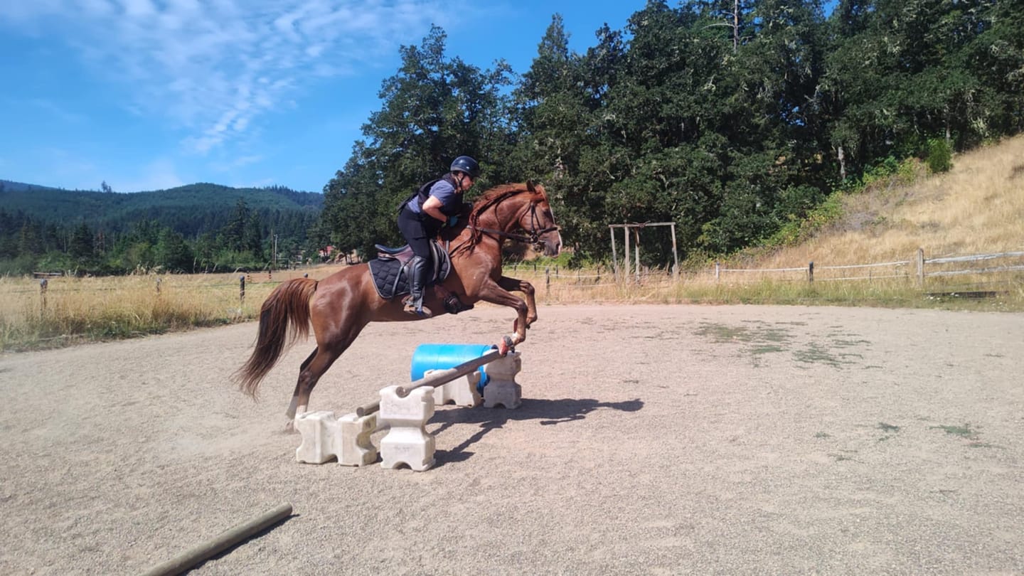 Customer photo review of Renegade® Viper Shield™ Hoof Boots - Cosmic Orange