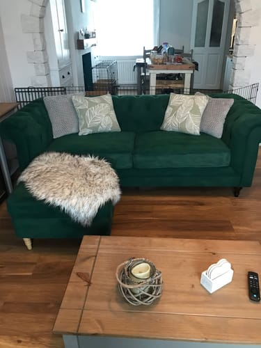 Customer photo review of Fabric Paint -- Dark Green