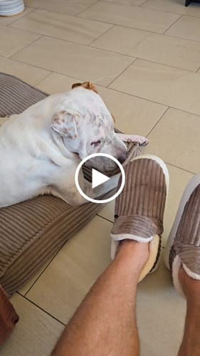 Customer video review of Cozie Co Slippers