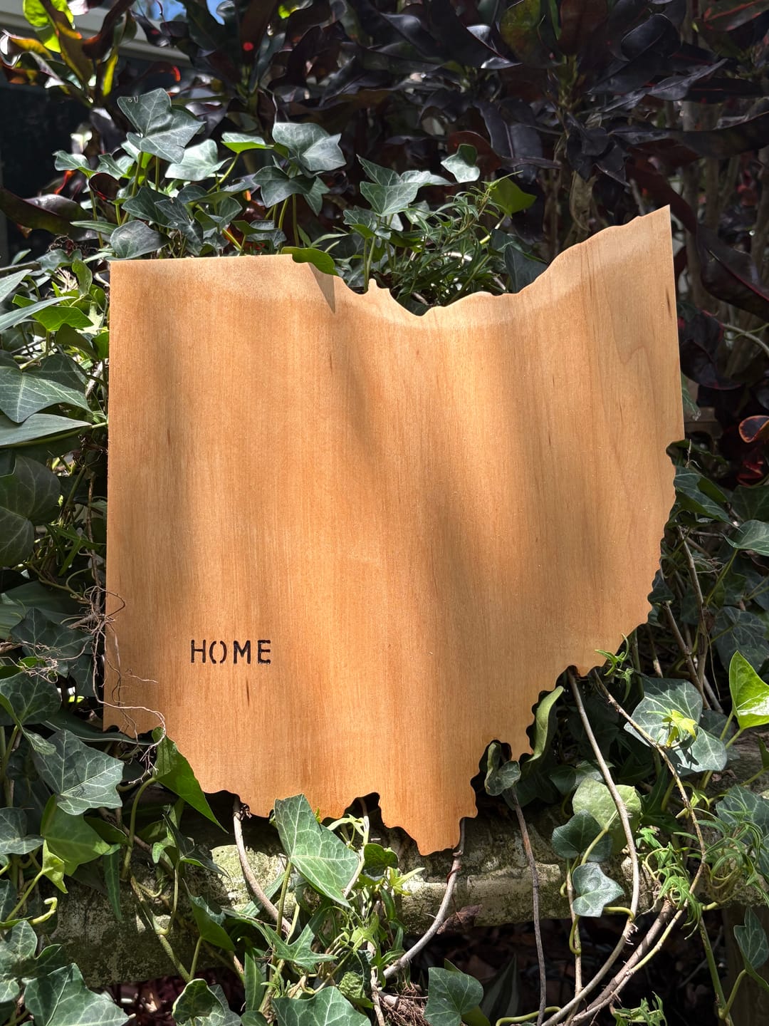 Customer photo review of 14.0x12.4" State Of Ohio Acrylic Router Template