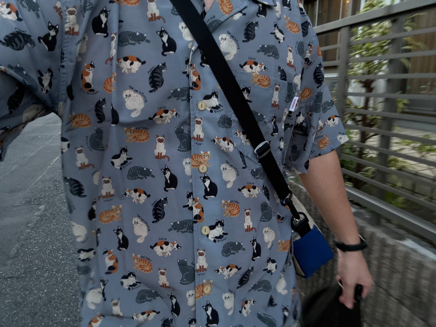 Customer photo review of 「ネコ図鑑」総柄プリントアロハシャツ