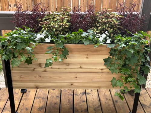 Customer photo review of 18" x 48" Raised Garden Bed - 30" TALL