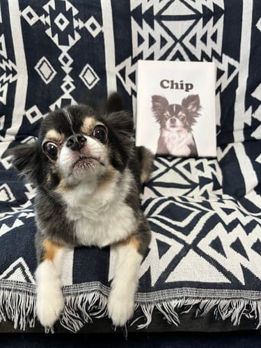 Customer photo review of Petcanva©オーダーメイド ペット似顔絵