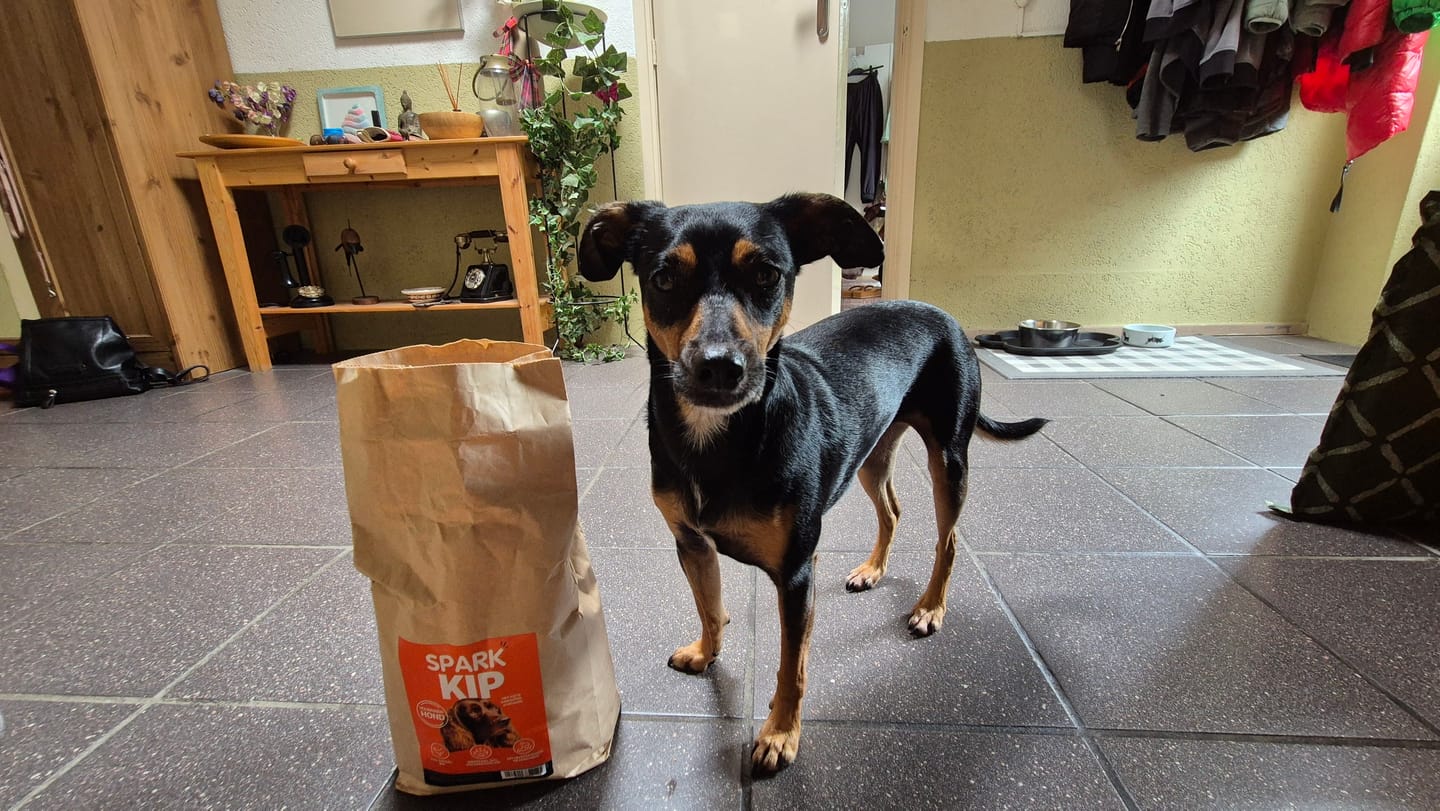 Customer photo review of Volwassen - Kip met Zoete Aardappel & Kruiden