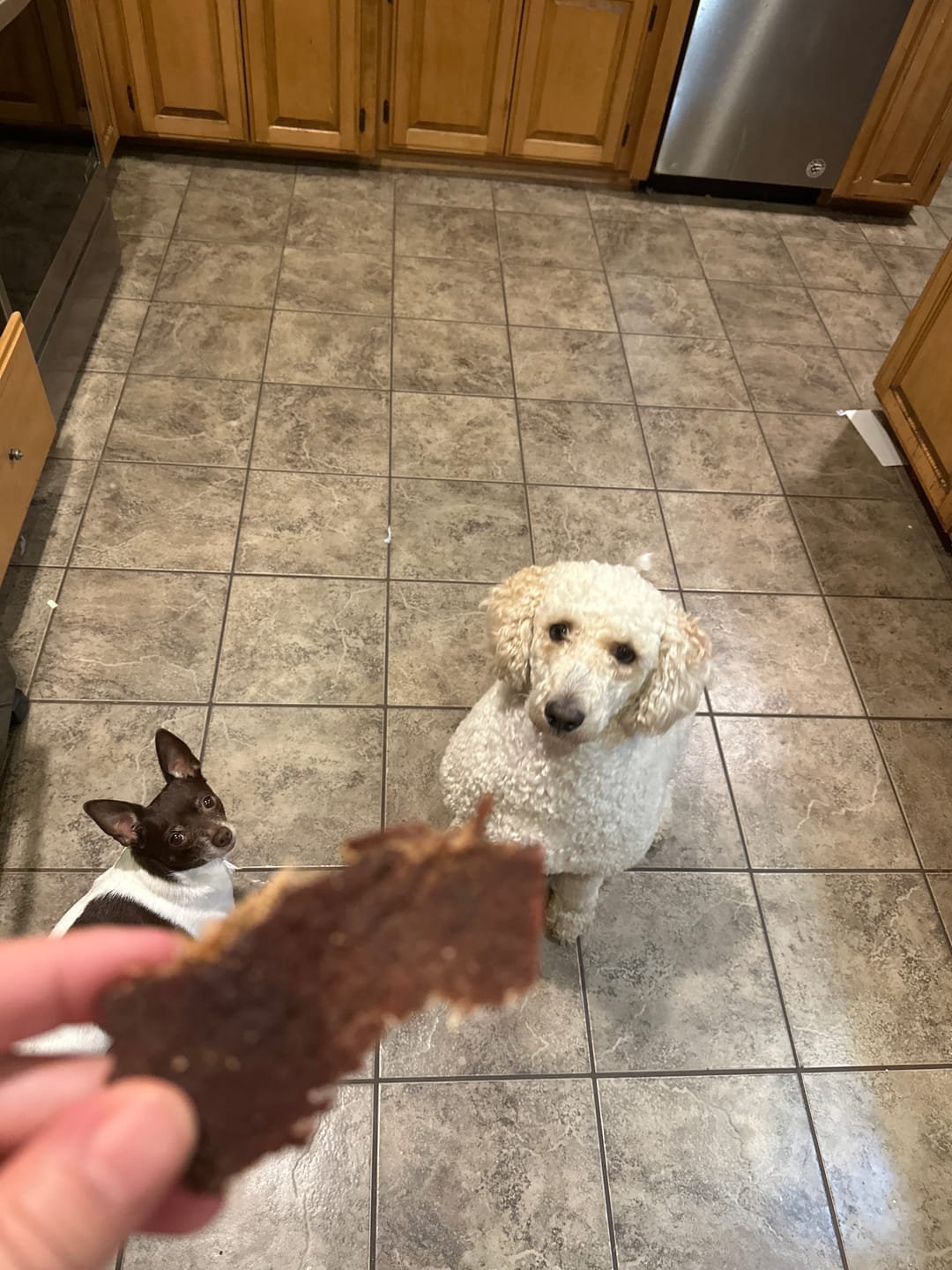Customer photo review of Gourmet Premium Beef Jerky