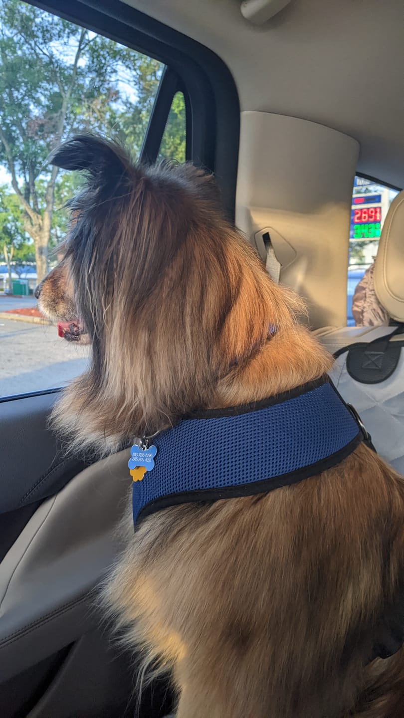 Customer photo review of Front Seat (Bucket Seat) Cover