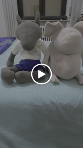 Customer video review of HELMUT, LE COCHON - GRAND