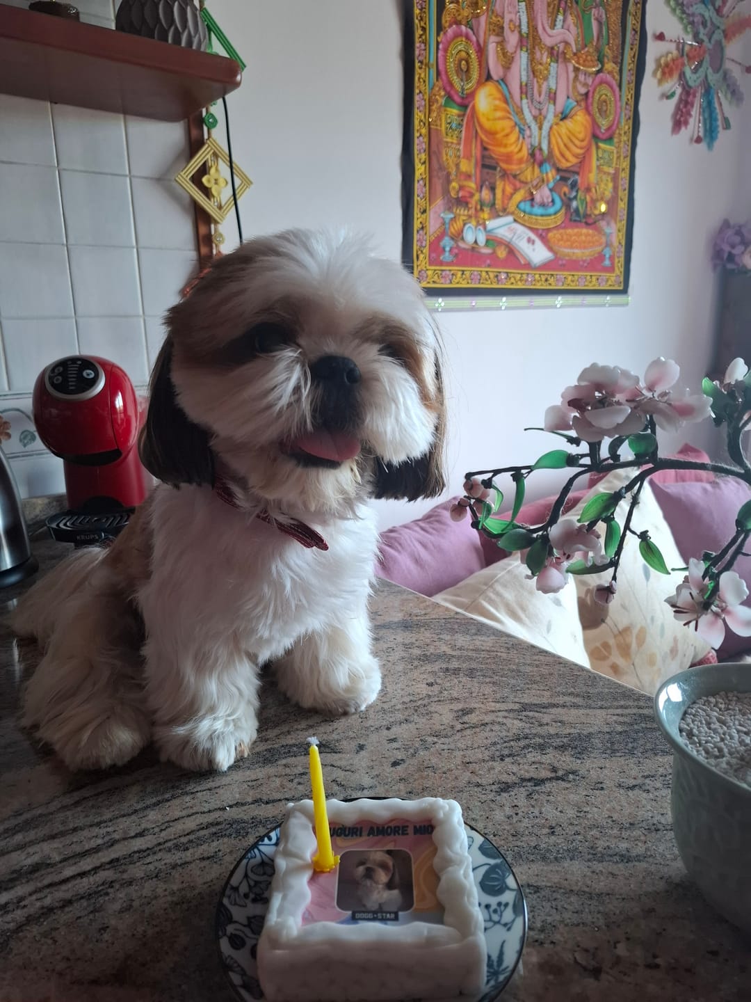 Customer photo review of Fotogenica Torta Per Cani CON FOTO e NOME