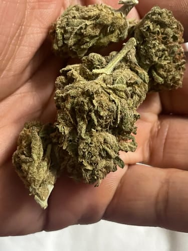 Customer photo review of Sour Diesel THCA Flower