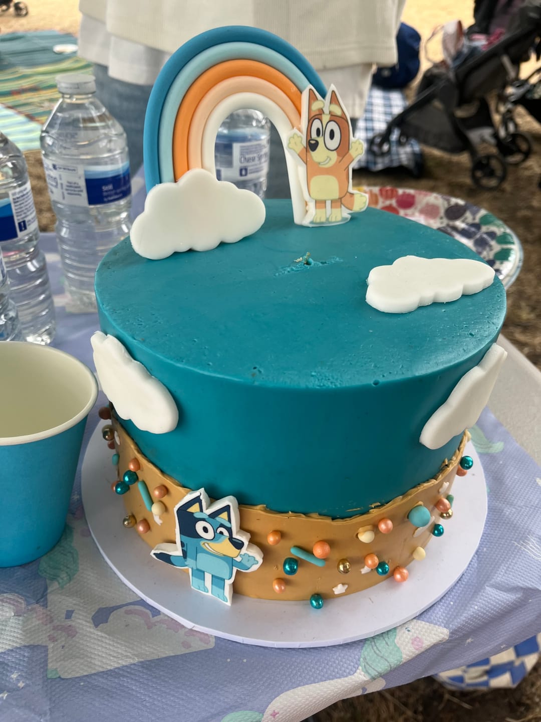 Customer photo review of Bluey Cake
