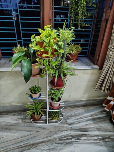 Customer photo review of UnitedCrafts 6 Tier 7 Potted Metal Plant Stand Multiple Shelves