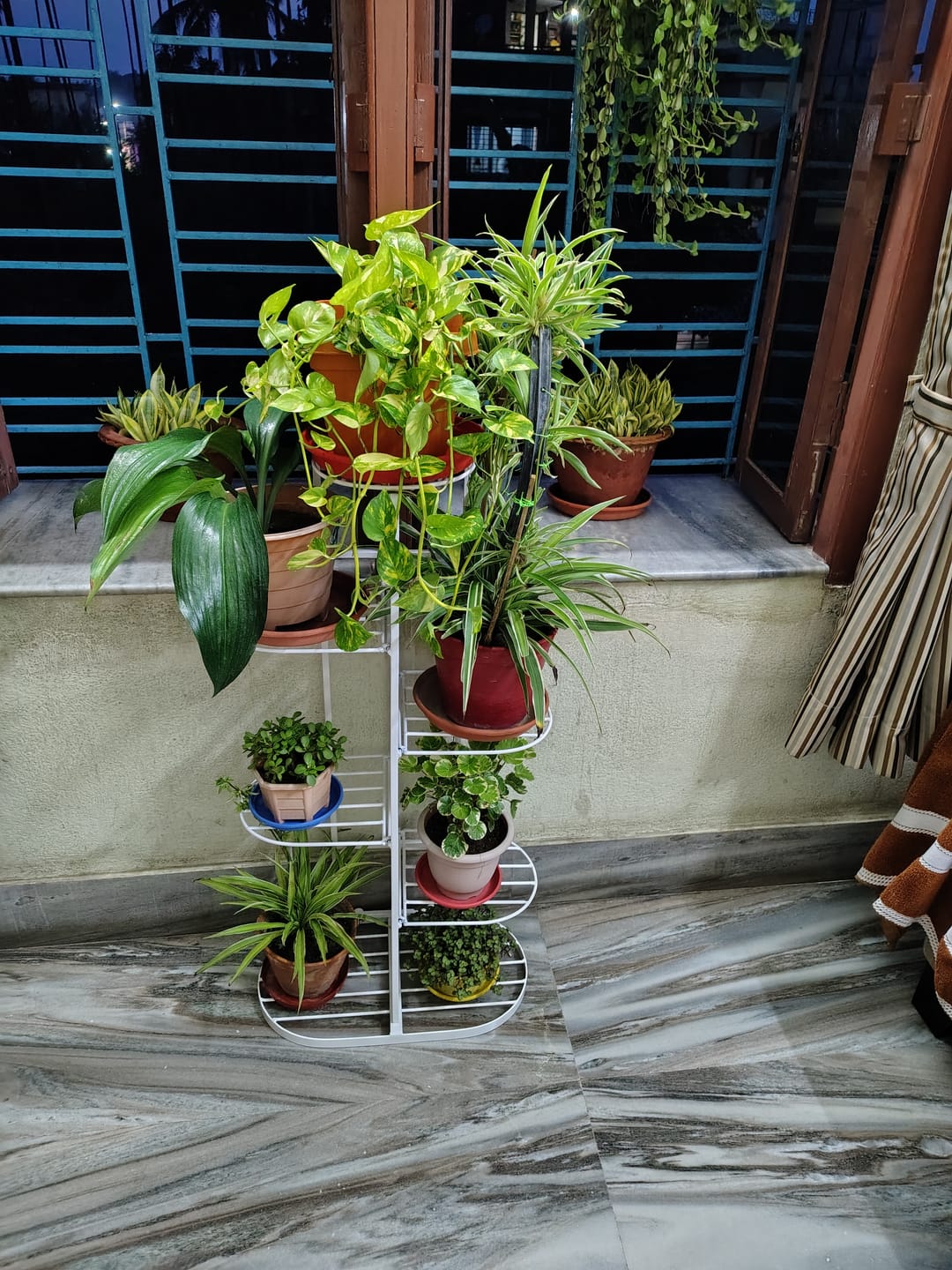 Customer photo review of UnitedCrafts 6 Tier 7 Potted Metal Plant Stand Multiple Shelves