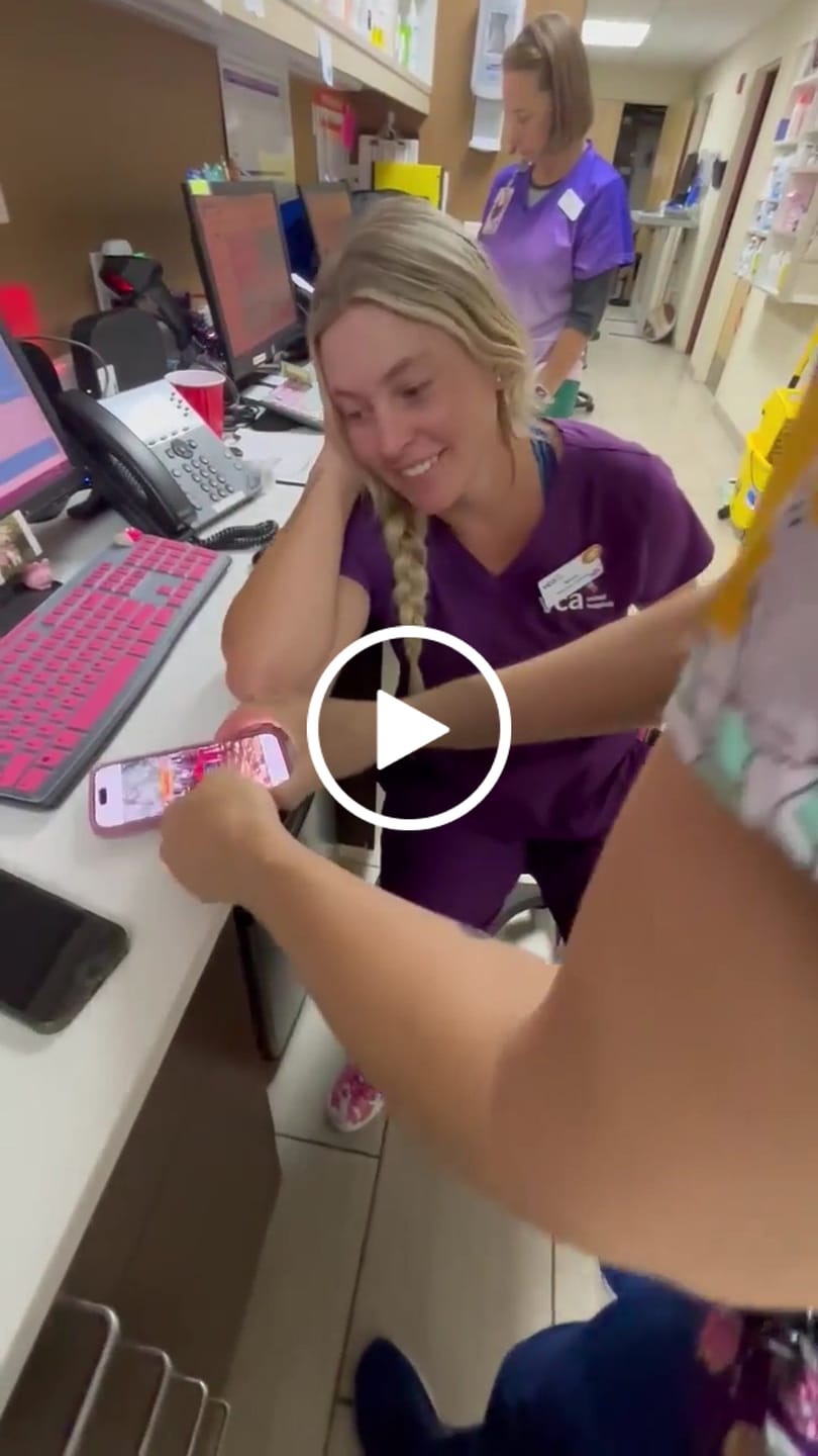 Customer video review of Greeting Video from Africa - Pink Pants