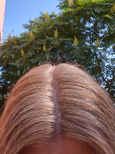 Customer photo review of Starter Kit for Grey Cover