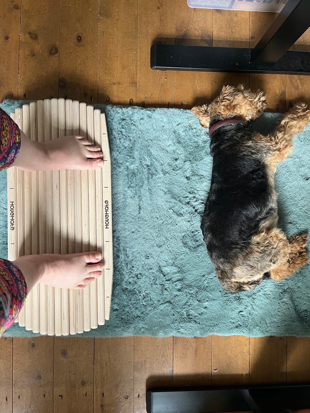 Customer photo review of Movemate™ Active Standing Board