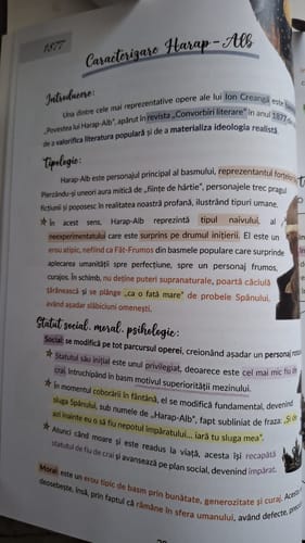 Recenzie cu fotografie de la un client despre Carte Română Bacalaureat Bacademia (temă și viziune, caracterizare, relație) - Ediția II
