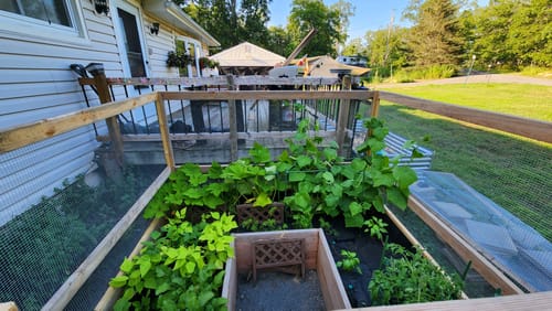 Customer photo review of Design Your Own Garden