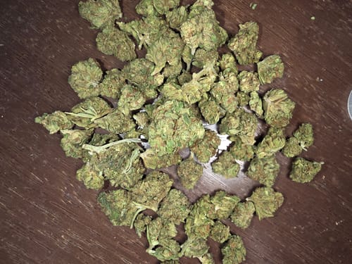 Customer photo review of Cheap THCA Smalls Pound